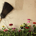 Broom and Zinnias in a Truck